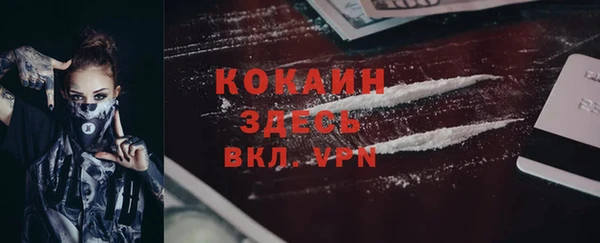 дживик Осинники