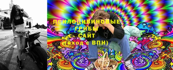 а пвп мука Абаза