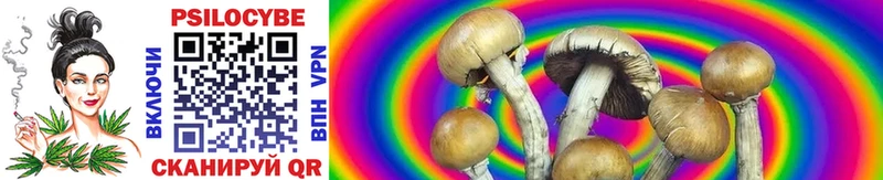 где найти   кракен зеркало  Галлюциногенные грибы MAGIC MUSHROOMS  Чита 