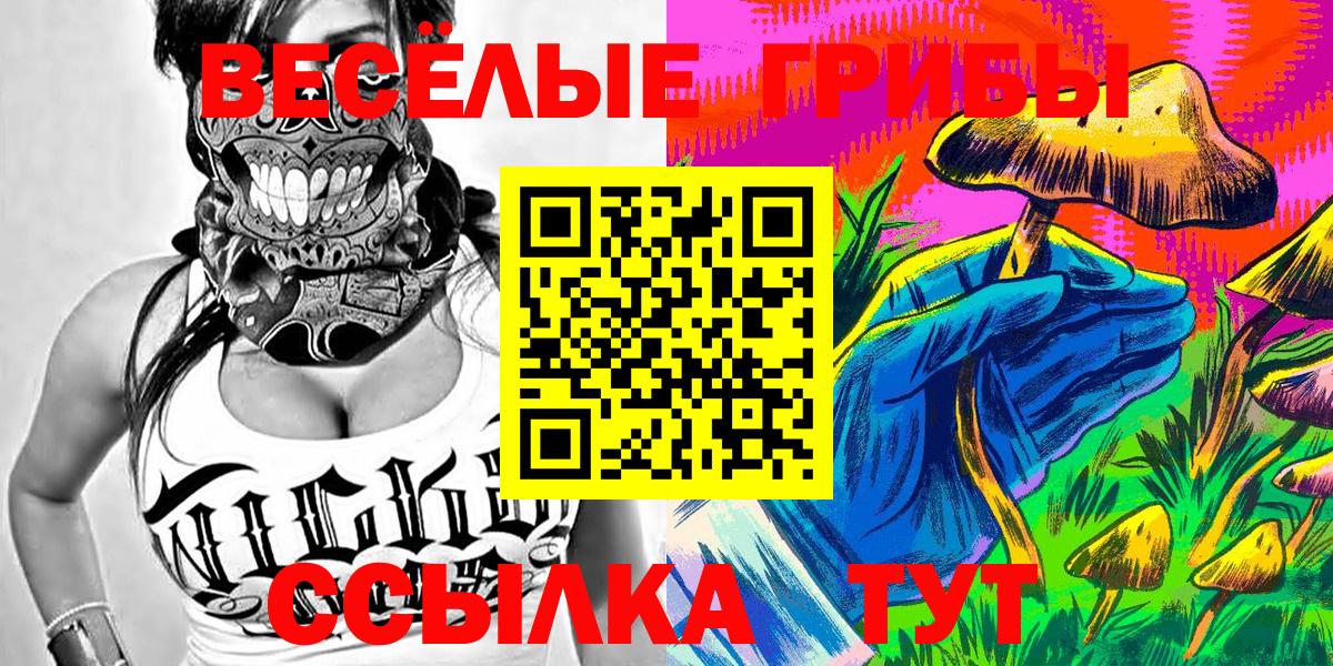 Галлюциногенные грибы Psilocybe Чита