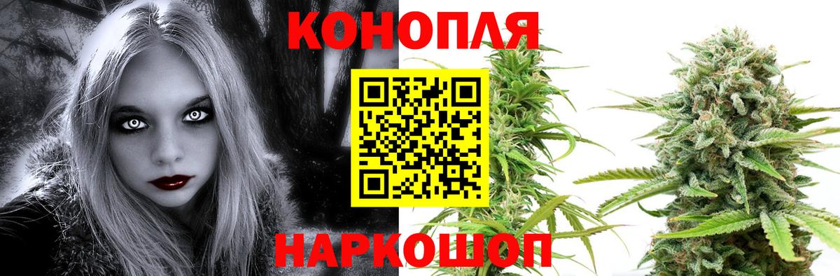 Канабис индика Чита